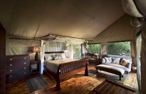 Linyanti Ebony Camp - Botswana