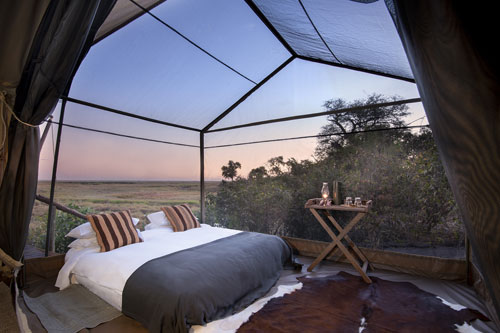 Linyanti Expeditions - Botswana