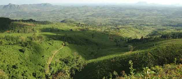 Zomba Forest Lodge - Malawi