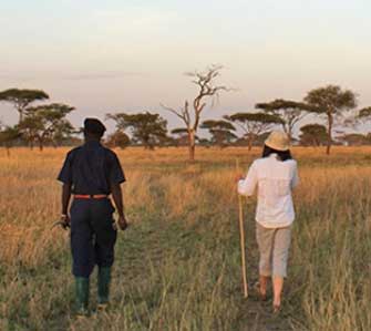 Ikoma Tented Camp - Serengeti Tanzania