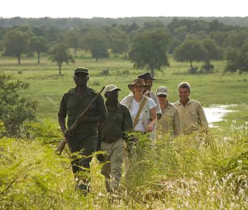 Chichele Lodge - South Luangwa Zambia