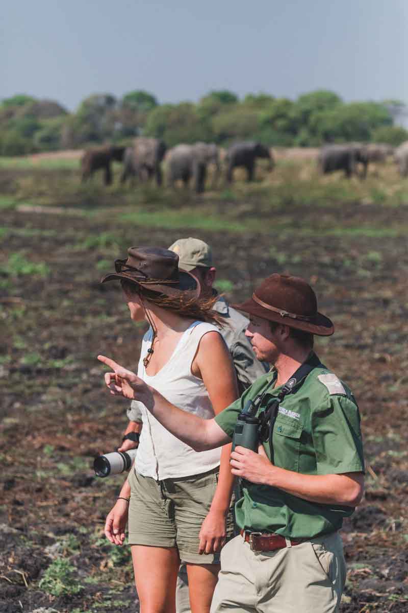 Musekese Camp - Kafue Zambia