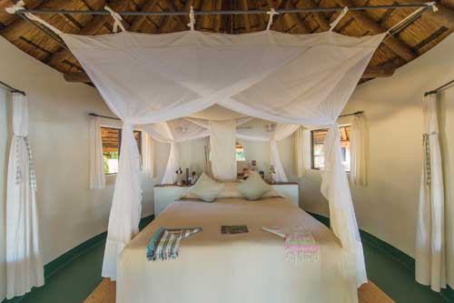 Nsefu Camp - South Luangwa Zambia