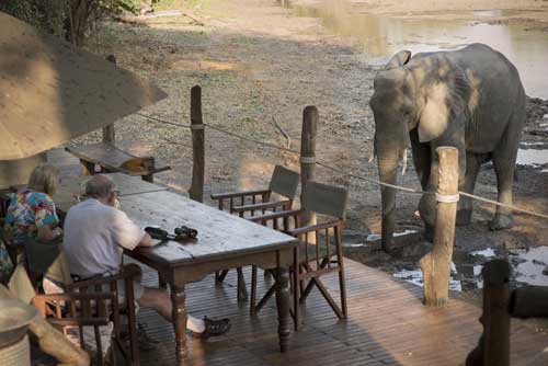 Kanga Camp - Mana Pools Zimbabwe