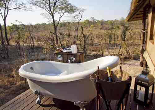 Khulu Ivory - Hwange Zimbabwe