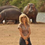 Mokore Camp - Save Valley Zimbabwe