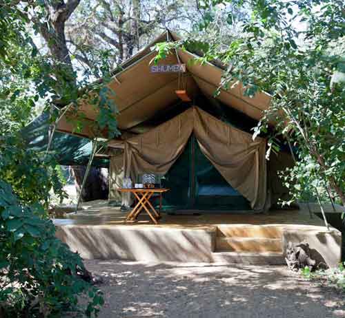 Sango Camp - Save Valley Zimbabwe