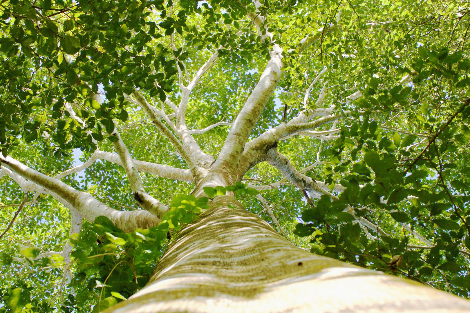 Onze Werkzijze - Zimba Safaris