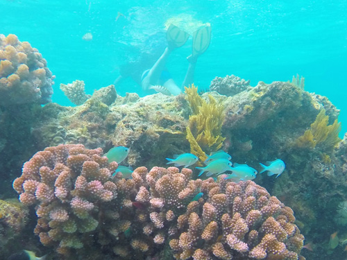 Fanjove Island Snorkelen