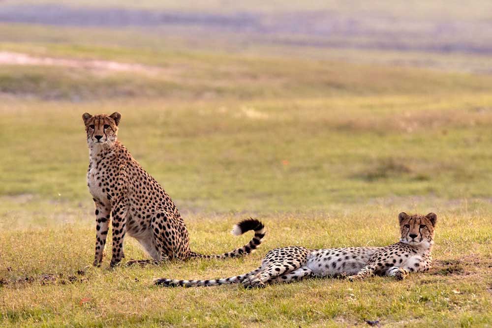 Kafue National Park Zambia