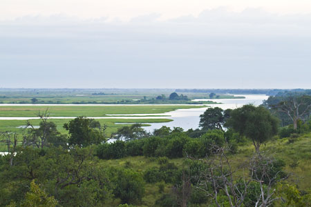 Chobe National Park Botswana
