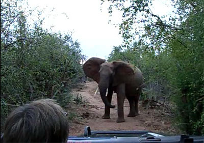 Zimbabwe Matusadona National Park Matusadona National Park Zimbabwe