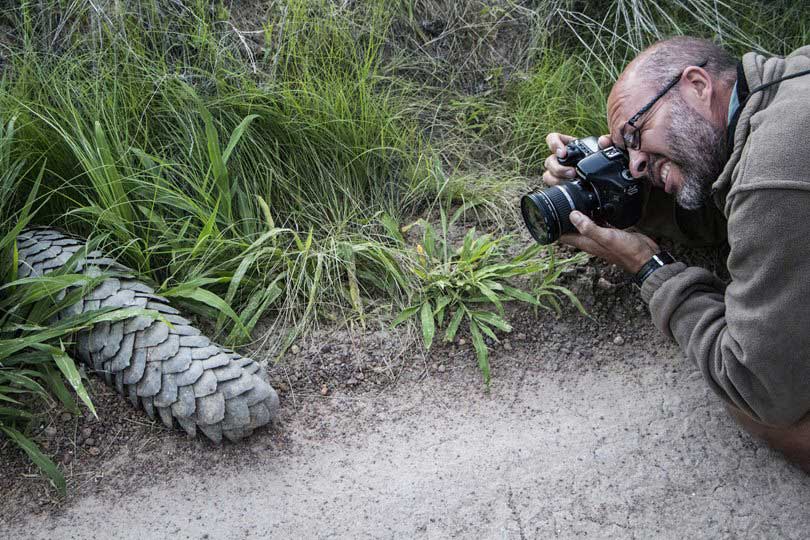 Ruaha safari Tanzania