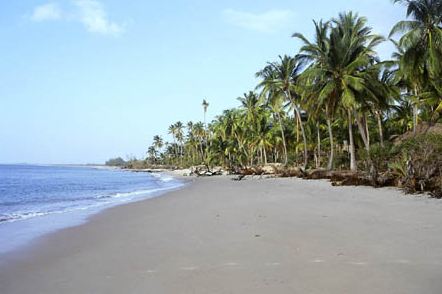 Saadani safari Tanzania